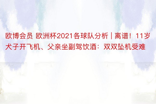 欧博会员 欧洲杯2021各球队分析 | 离谱！11岁犬子开飞机、父亲坐副驾饮酒：双双坠机受难