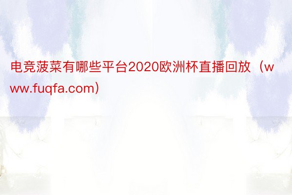 电竞菠菜有哪些平台2020欧洲杯直播回放（www.fuqfa.com）